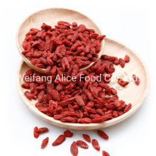 Exporting Chinese Health Foods Dried Goji Berry